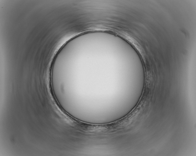 X0000112471187200908311343