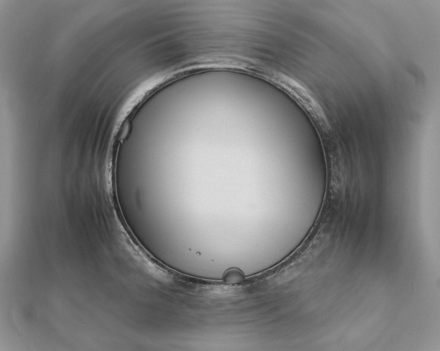 X0000112471188200908311343