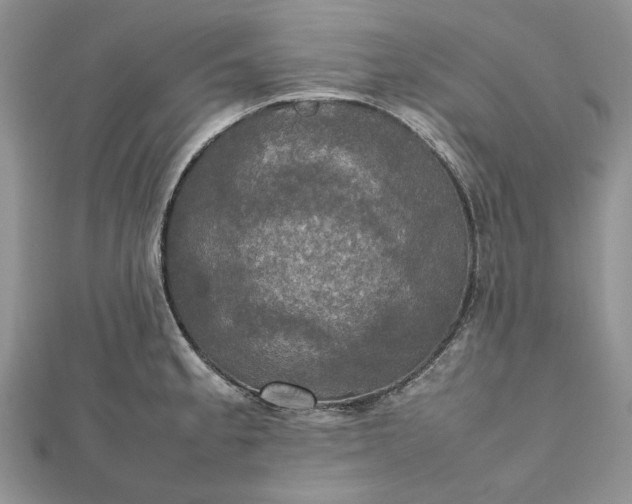 X0000112471189200908311343