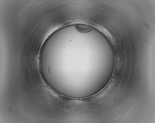 X0000112471190200908311343