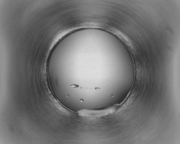 X0000112471192200908311343