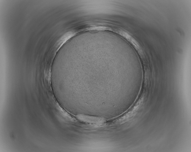 X0000112471193200908311343