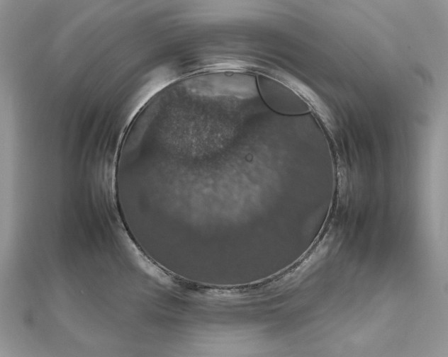 X0000112471194200908311343