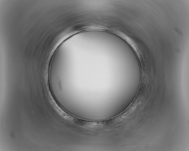 X0000112471195200908311343