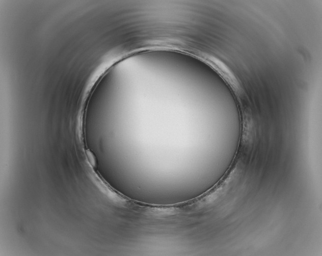 X0000112471196200908311343