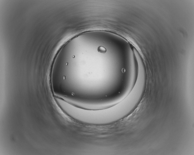 X0000112471197200908311343