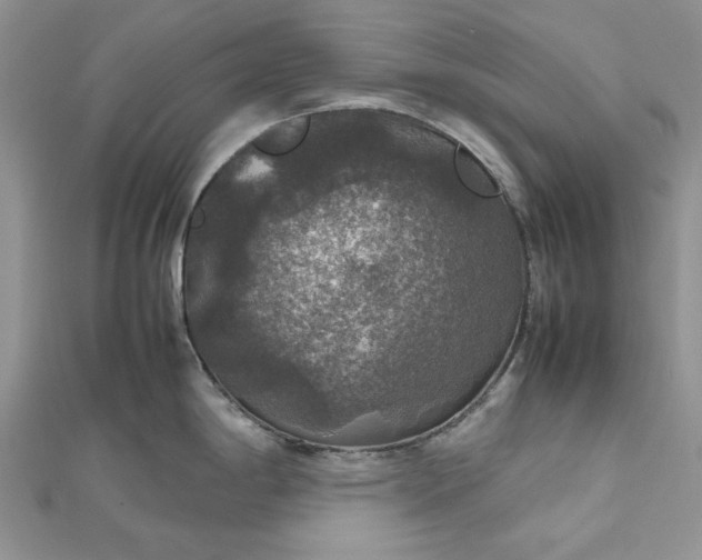 X0000112471198200908311343