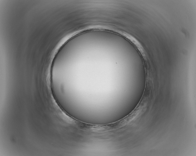 X0000112471199200908311343