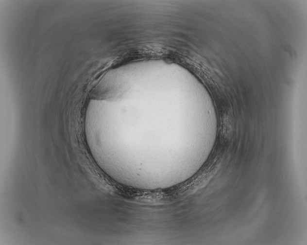 X0000112471201200908311343