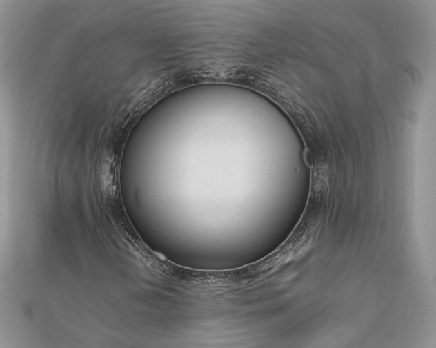 X0000112471202200908311343