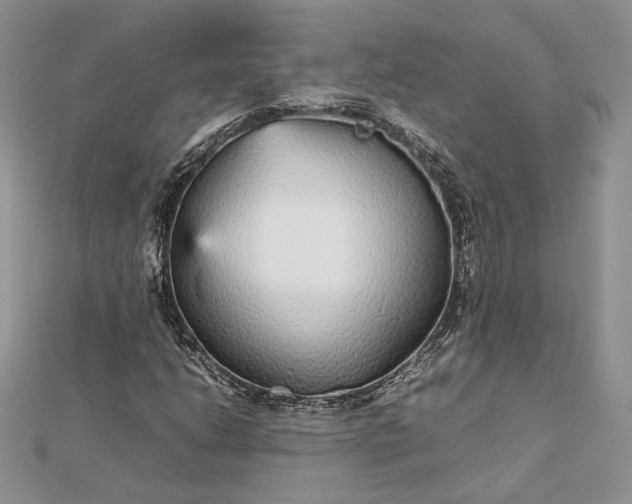 X0000112471206200908311343