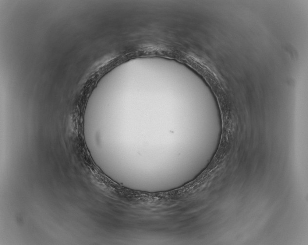 X0000112471207200908311343