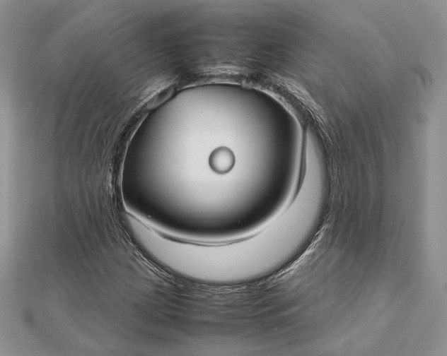 X0000112471209200908311343