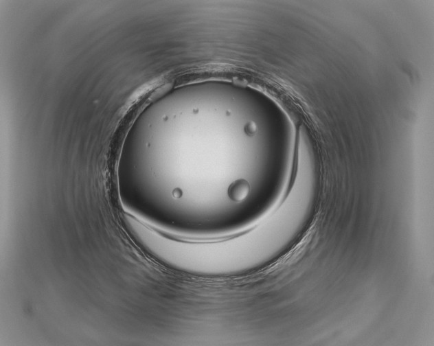 X0000112471210200908311343