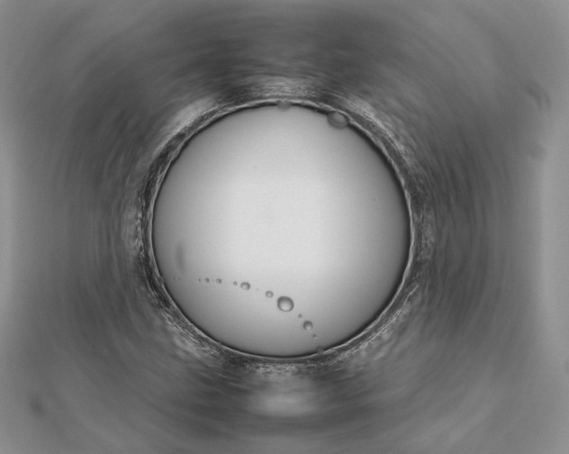 X0000112471211200908311343