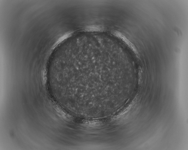 X0000112471213200908311343