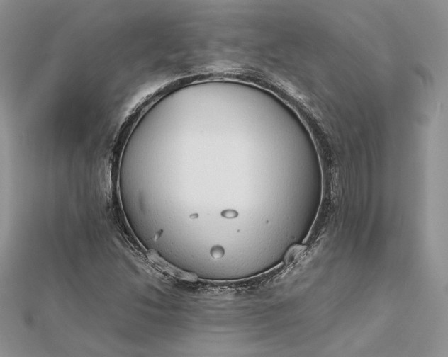 X0000112471214200908311343