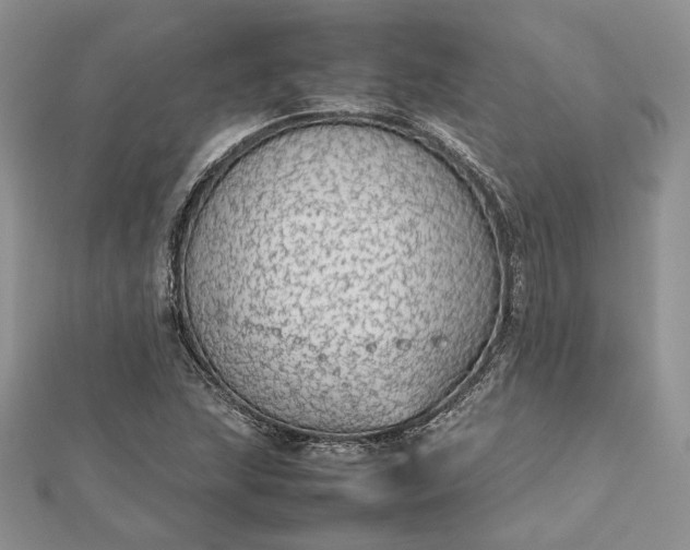 X0000112471215200908311343