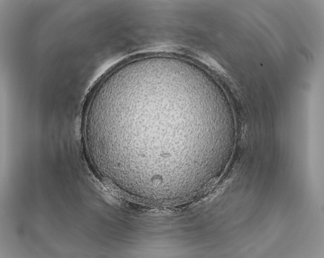 X0000112471216200908311343