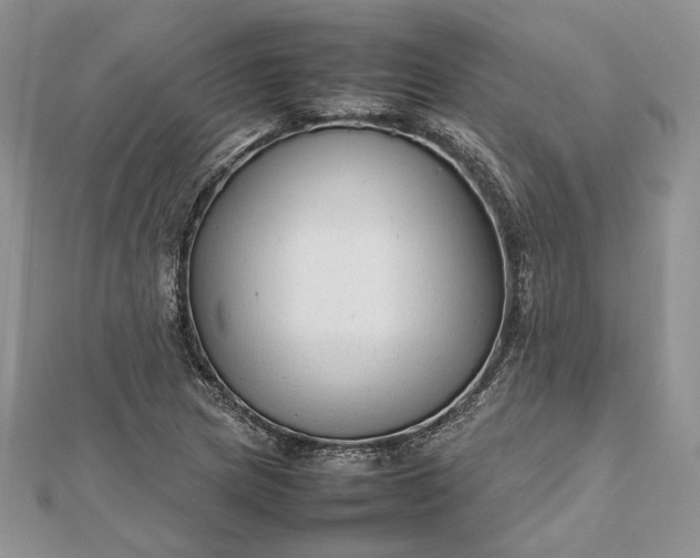 X0000112471217200908311343