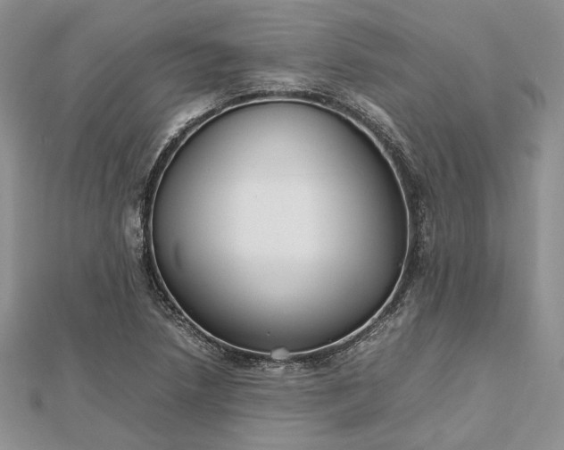 X0000112471218200908311343