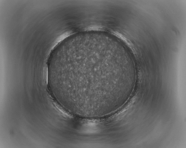 X0000112471219200908311343