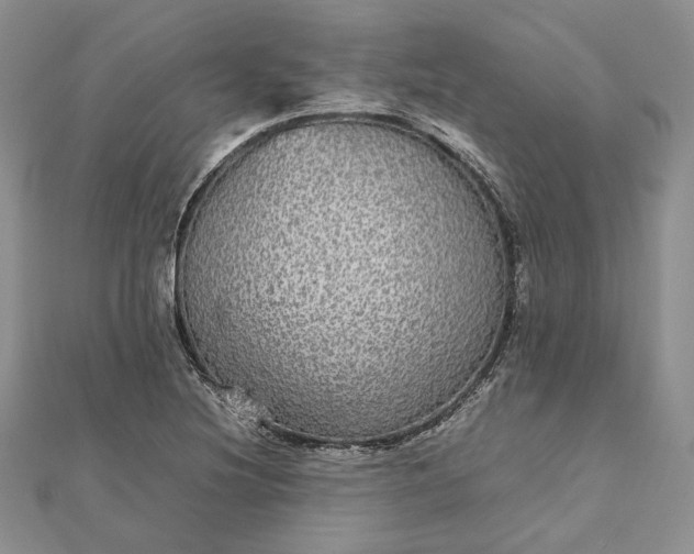 X0000112471220200908311343