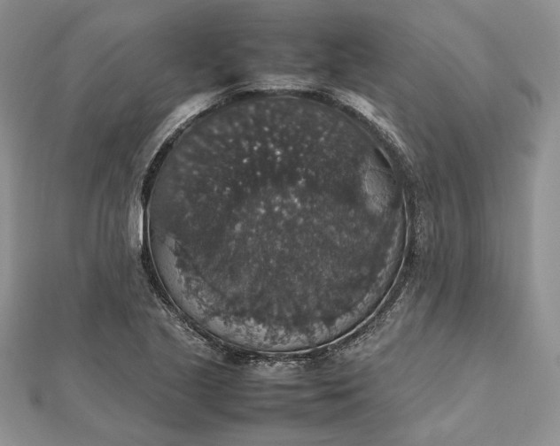 X0000112471221200908311343