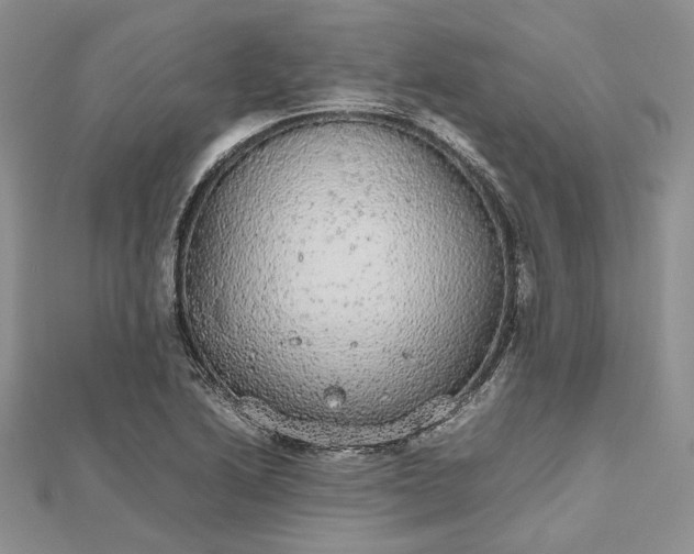 X0000112471222200908311343