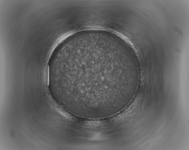 X0000112471223200908311343