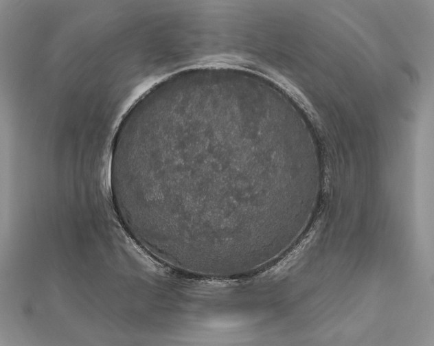 X0000112471224200908311343