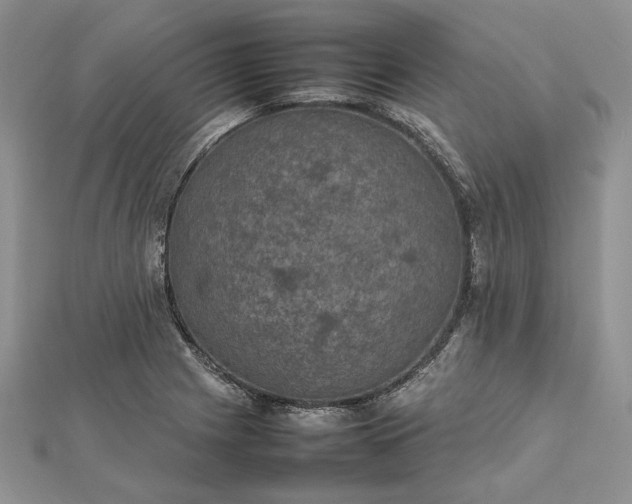 X0000112471225200908311343