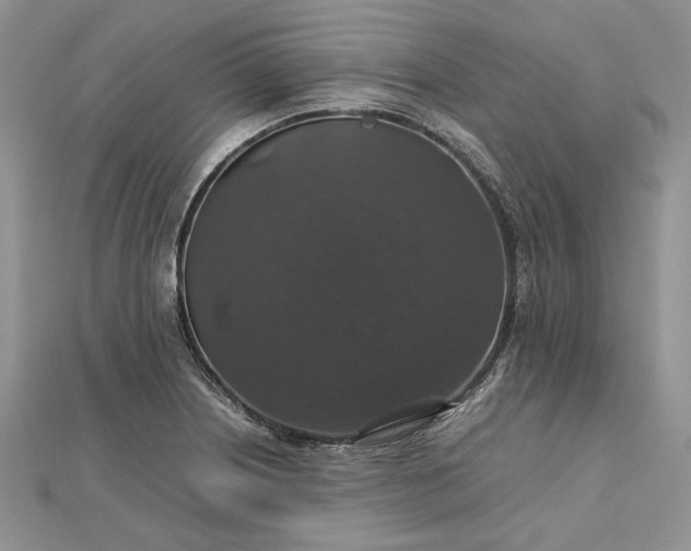 X0000112471226200908311343