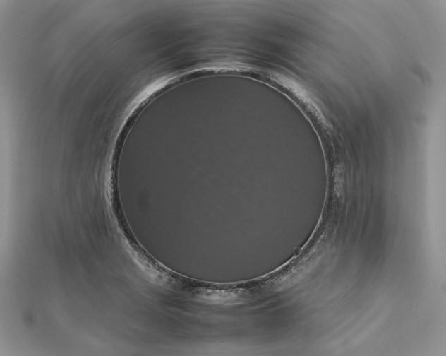 X0000112471229200908311343