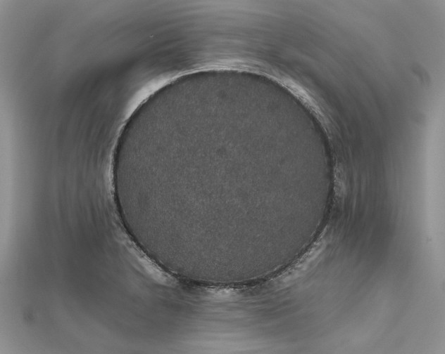 X0000112471230200908311343