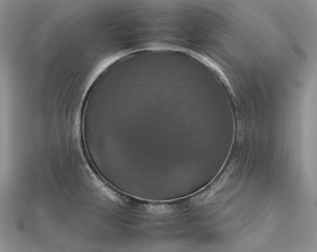 X0000112471231200908311343