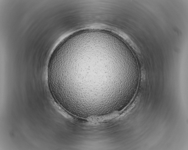 X0000112471232200908311343