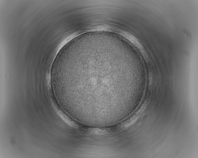 X0000112471234200908311343