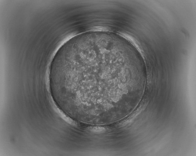 X0000112471235200908311343