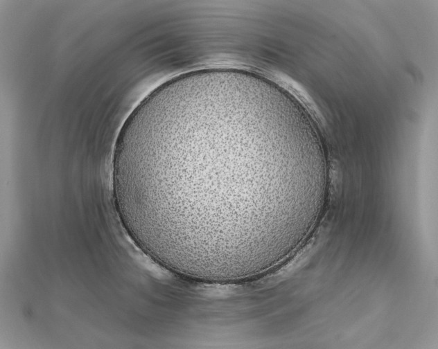 X0000112471236200908311343