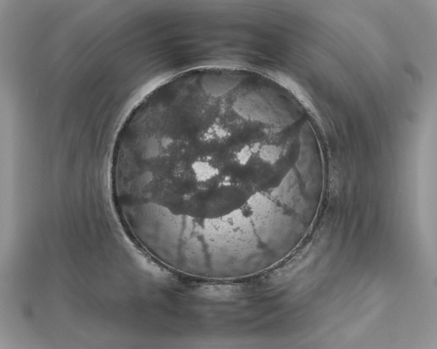 X0000112471237200908311343