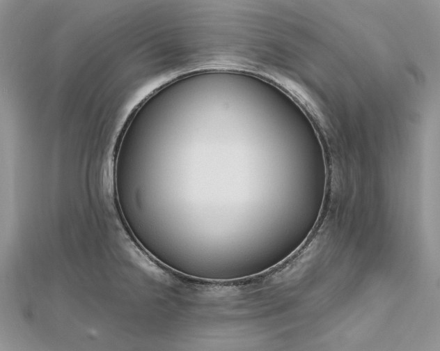 X0000112471238200908311343