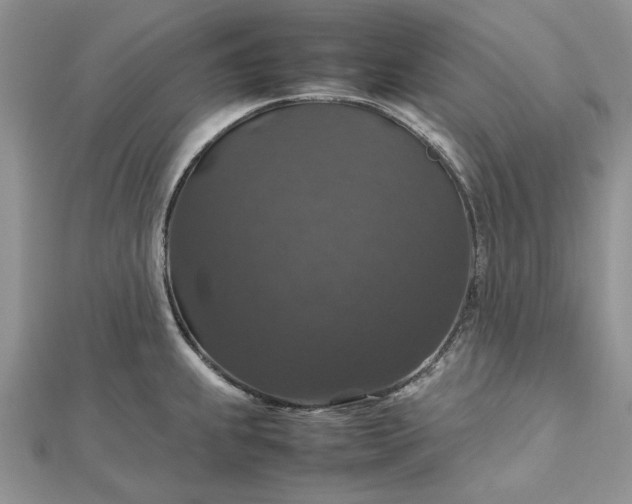 X0000112471239200908311343