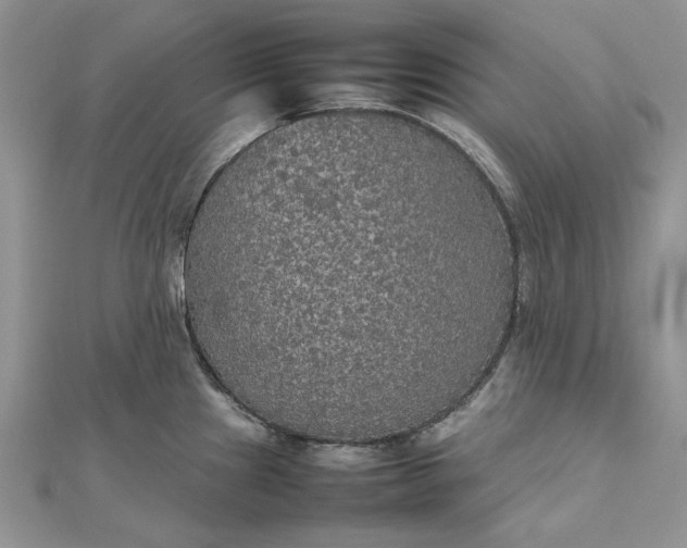 X0000112471241200908311343