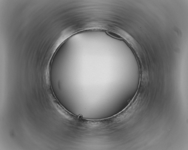 X0000112471242200908311343