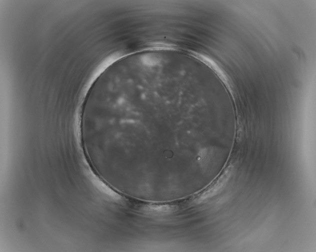 X0000112471243200908311343