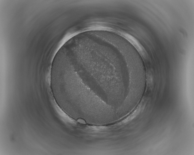 X0000112471244200908311343