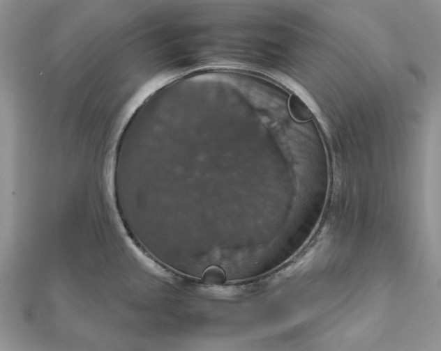 X0000112471245200908311343