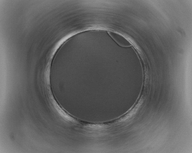 X0000112471246200908311343