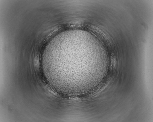 X0000112471250200908311343